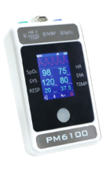 PM6100